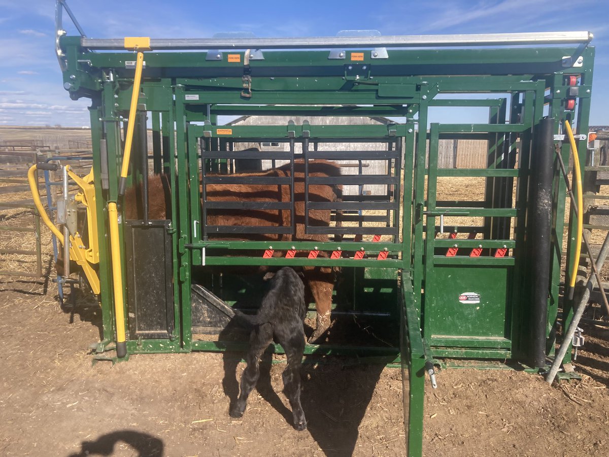 I told my wife an arrowquip was a waist of money and a non auto head gate was stupid. 

I was wrong. Very wrong.