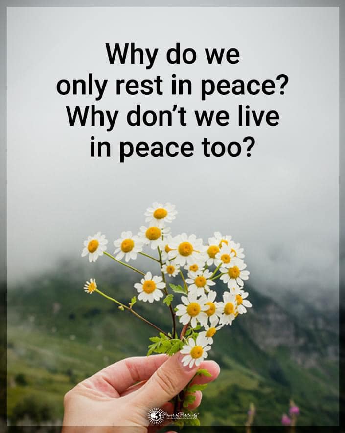 Peace is a choice...may humanity choose it soon...💖
#Peace #PeaceAndLove #PeaceForPalestine #PeaceForTheWorld #PeaceForAll #PeaceOfMind #peacemaker #love #compassion #Forgiveness