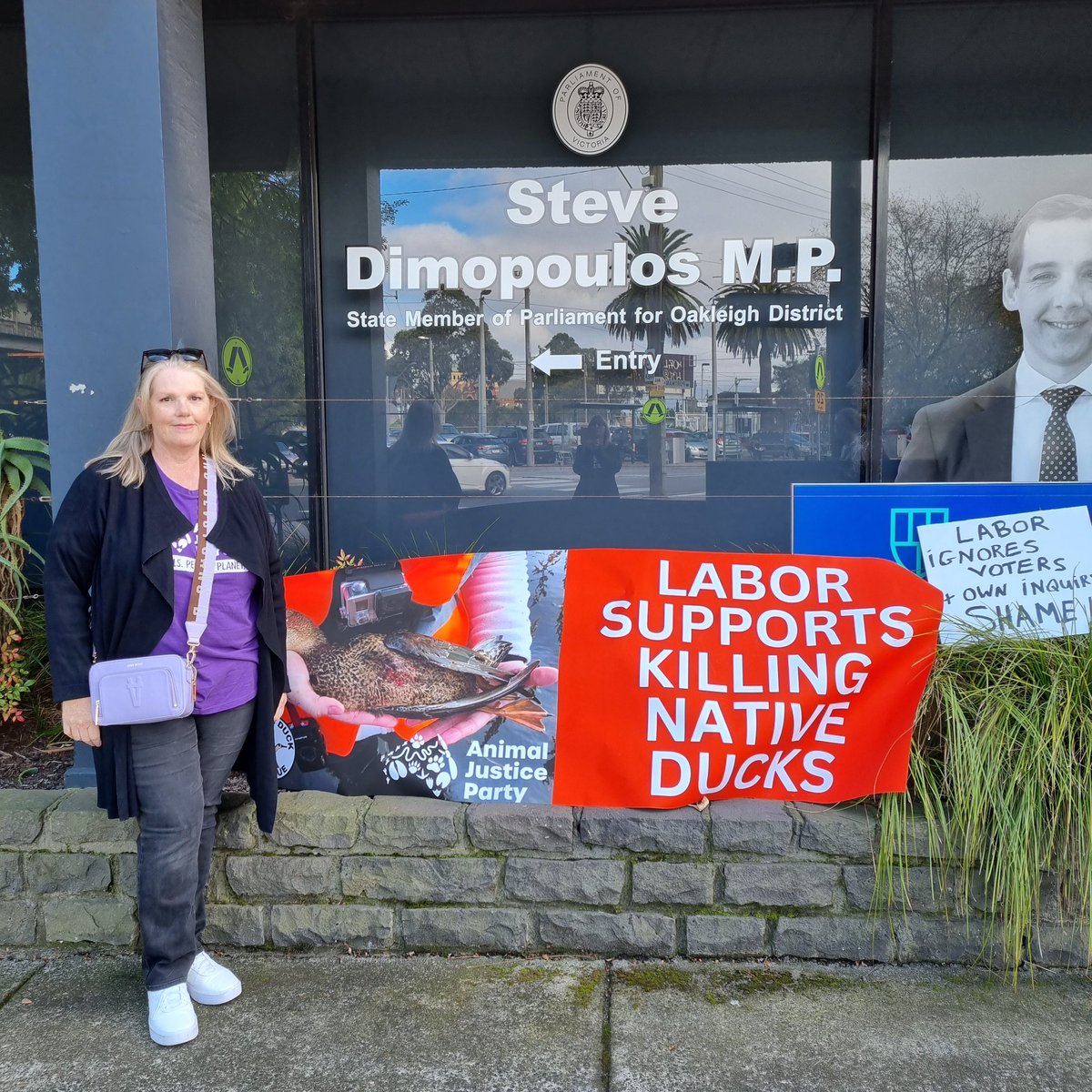 Yesterday we held a series of protests outside @VictorianLabor MP Offices.
There is so much support to #BanDuckShooting
Labor, you got this wrong.  
At @Steve_Dimo office, we had people telling us this @JacintaAllanMP captain's call will change their vote.