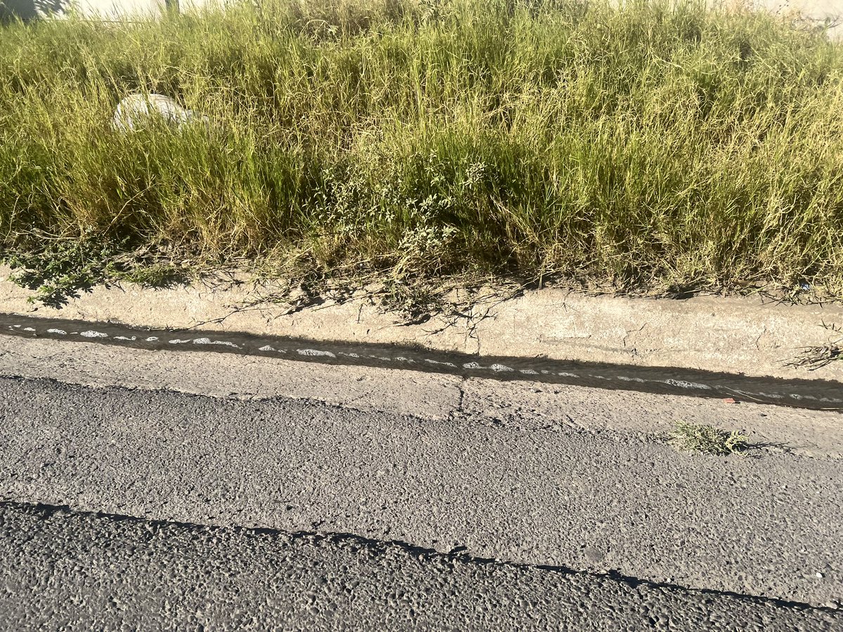 linarm_01's tweet photo. @pattyo502 Sra. Ministra quisiera hacer una denuncia de la constructora que se encuentra haciendo unas bodegas en San José, zona 2, de Villa Nueva. Ya que cerraron la caja municipal del drenaje de agua pluvial https://t.co/sVQKN1dO6u