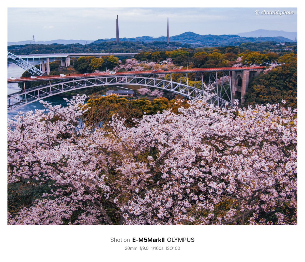 shotabiphoto_t's tweet photo. 西海橋公園の桜

#写真が好きな人と繋がりたい 
#長崎 #西海橋公園 #桜 https://t.co/HIz3AEJSlS