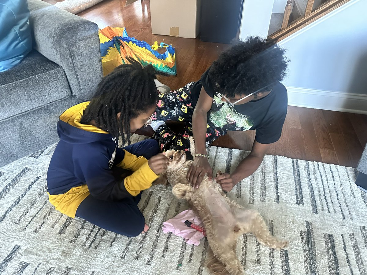 _allysonfinch's tweet photo. GREAT NEWS!! We have Bella Marie back! My son got a tip from someone who saw Bella at an apartment on 13th St. NW. My kids’ father went over w/police &amp; got her back!

Thank you everyone for spreading the word &amp; looking out! Thank you @DCPoliceDept for getting there quickly!🥹💜 https://t.co/3BBl9s0izF