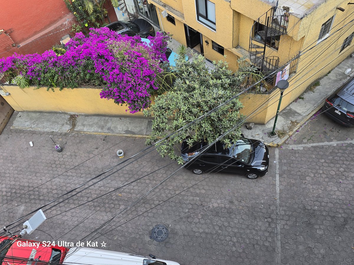 Katz9416's tweet photo. @Alcaldia_Coy  esta prohibido apartar lugares y en colonia media luna te cobran por estacionarte en la calle. https://t.co/s2KI4vbuFA