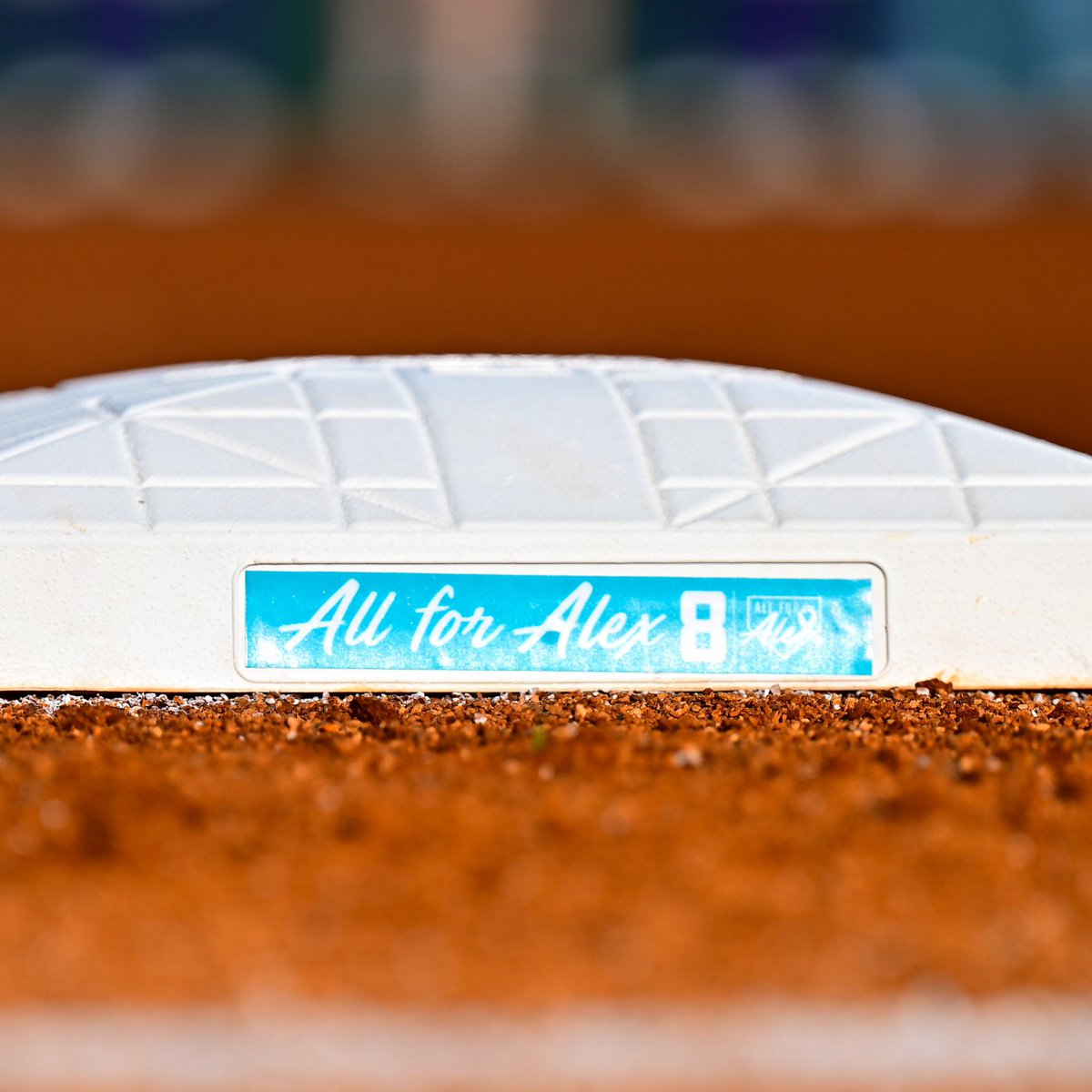 LSUsoftball's tweet image. Today we join the entire SEC in wearing Teal to honor Alex Wilcox and all women in their fight against Ovarian Cancer

No One Fights Alone 🦋

#AllForAlex