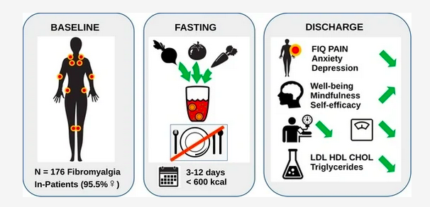 Effects of Prolonged Medical #Fasting During an Inpatient, Multimodal, Nature-Based Treatment on #Pain, Physical Function & #Psychometric Parameters in Patients w/ #Fibromyalgia mdpi.com/2072-6643/16/7… @_atanas_ @_INPST @ScienceCommuni2 @DHPSP @FastingCoach_MS @teamfibro