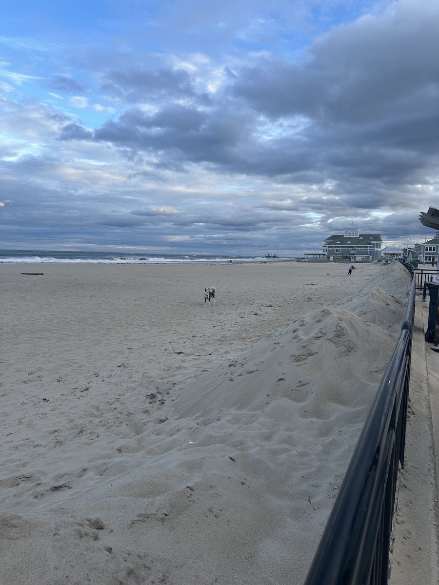 .⁦@vtdiva49⁩ Cold and breezy day at Hampton Beach today with my pups.