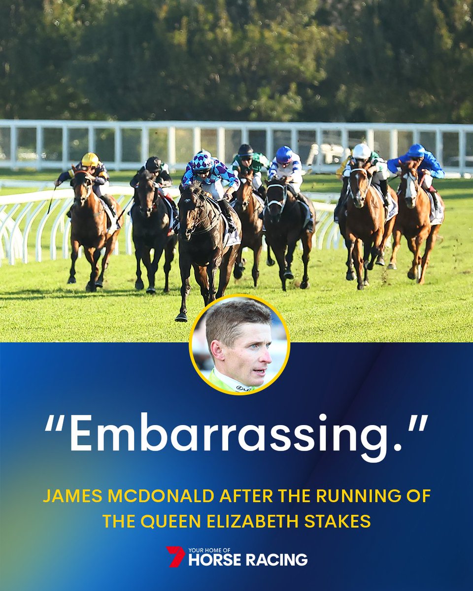 7HorseRacing 🐎 tweet media