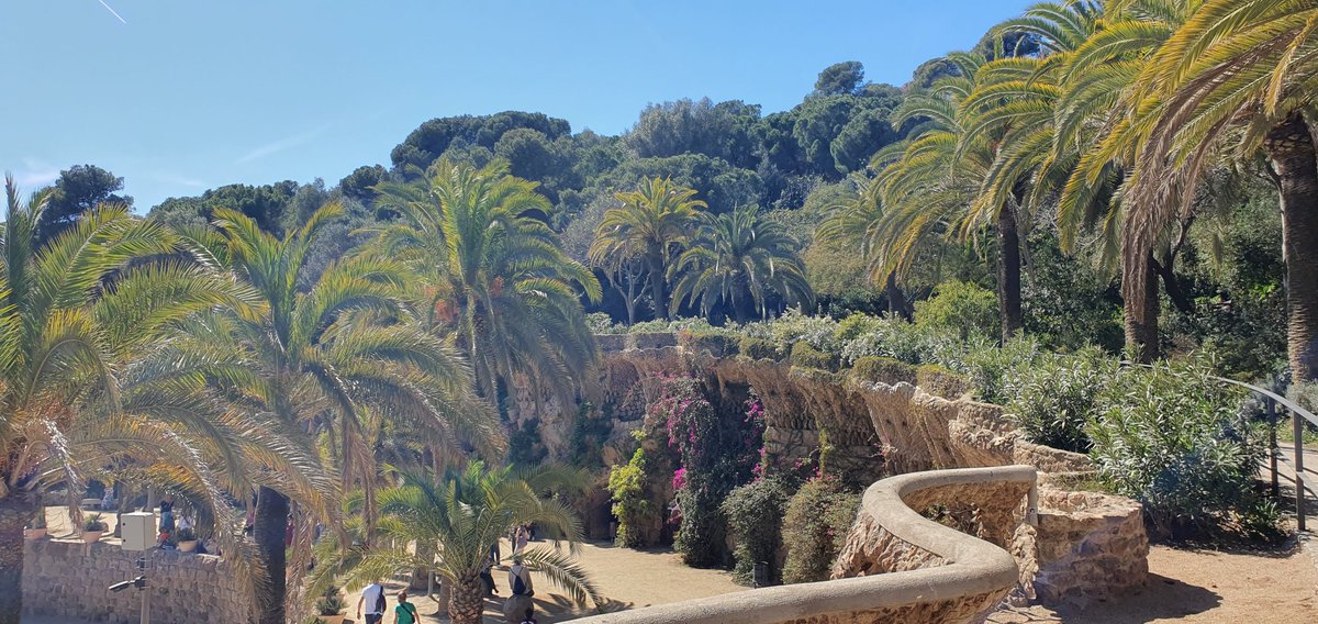 Park Guell was rather lovely 😍