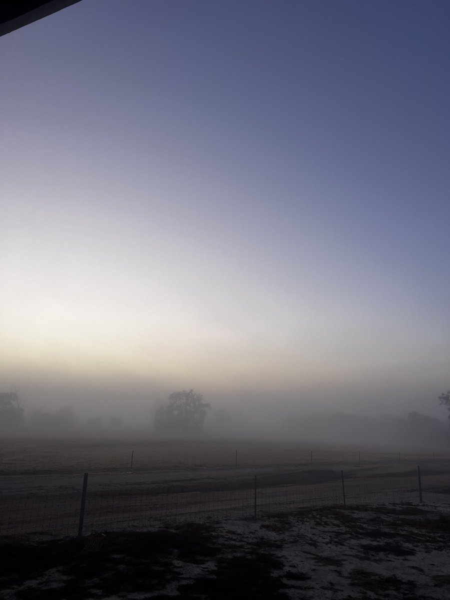 Sam Burgess tweet media