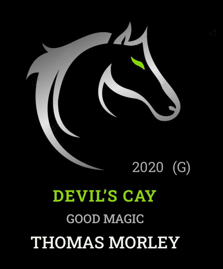 Welcome DEVIL’S CAY to the Zilla Squad w @NovaStables & Black Jack Racing, LLC. Trainer @morley_racing