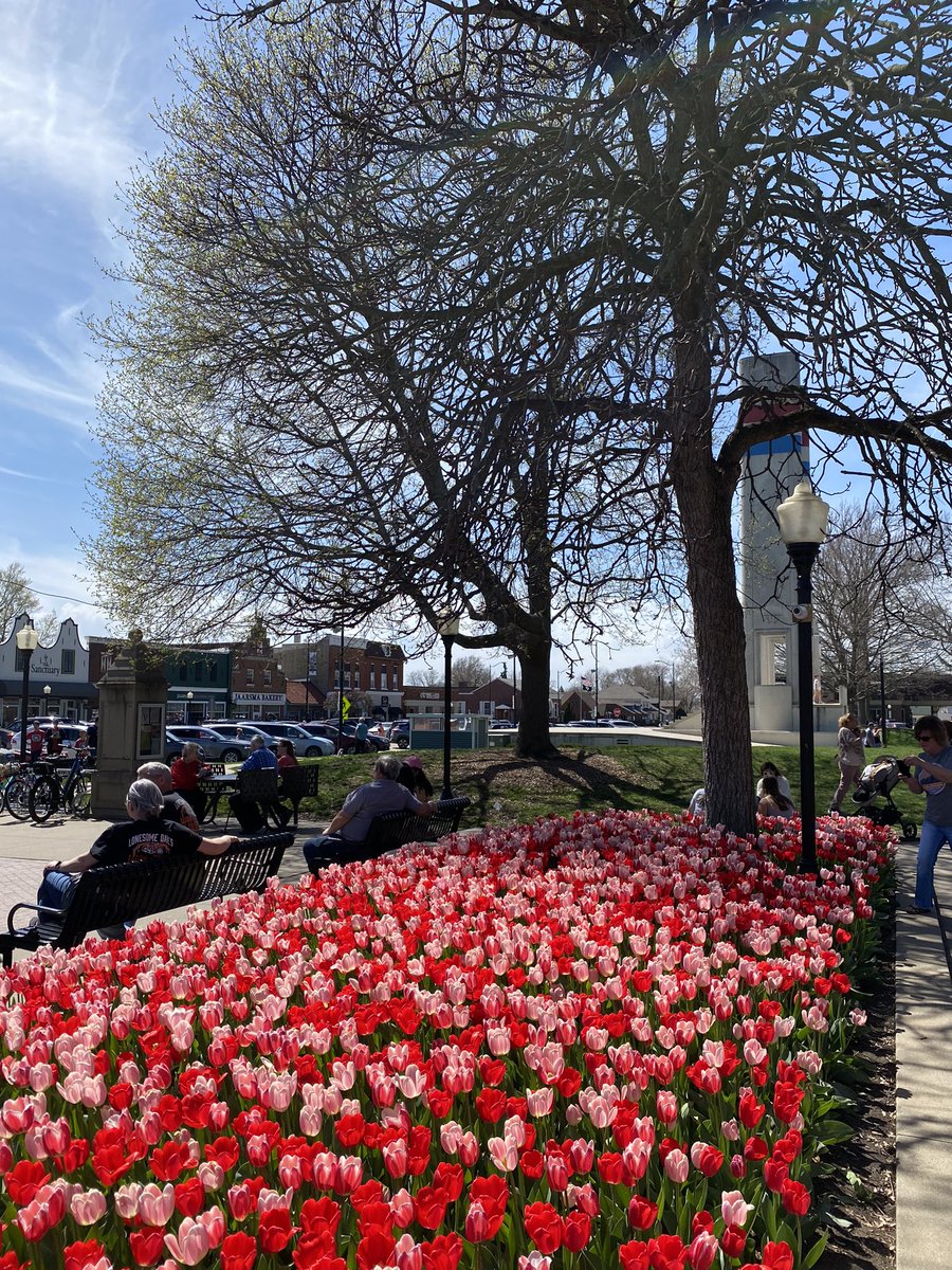 OscarReynaga's tweet photo. Tulip Time 2024 https://t.co/sHrlVhX4DT