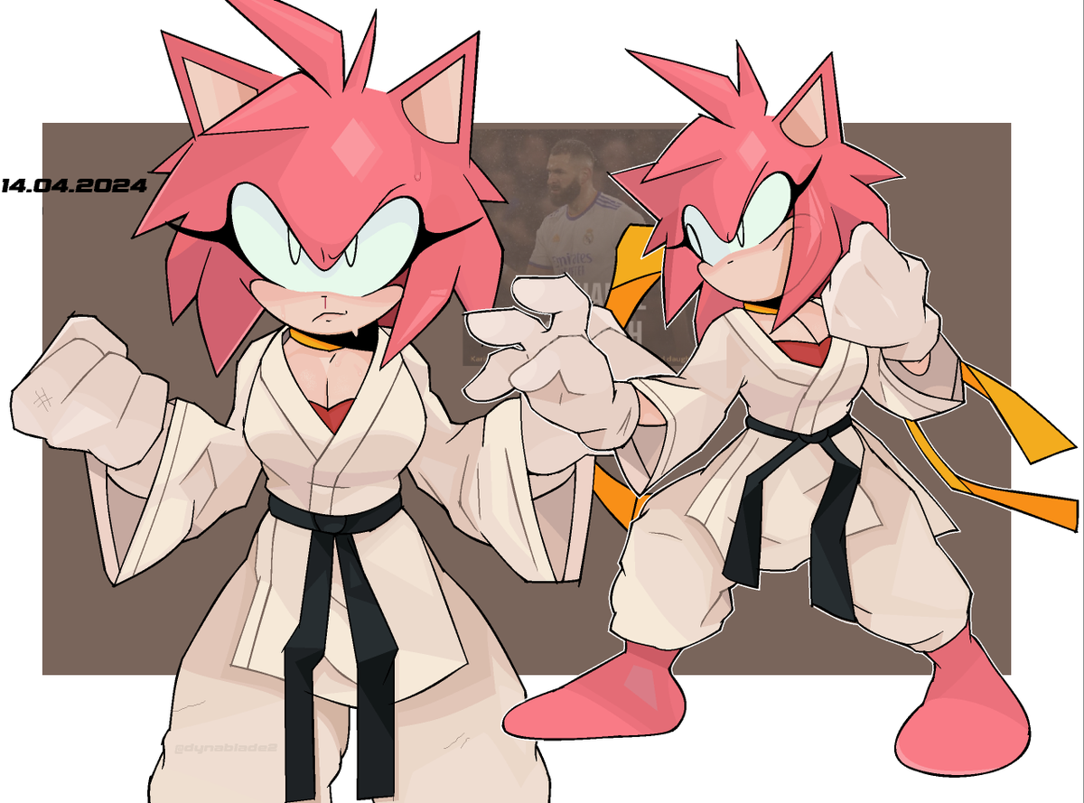 dynablade2's tweet photo. amy but makoto like🤼‍♀️
[sonic the hedgehog] https://t.co/iIZVbTAsIv