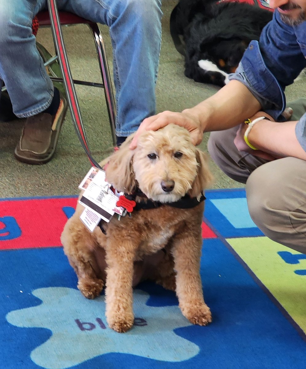 Giuseppe, Charley, Zoey, Daisy Doodle, Zeke, and Otis got some wonderful snuggles at their visit at Centerville Elementary School on Friday.#giuseppe #goteamtherapydogs #FCPSMARYLAND