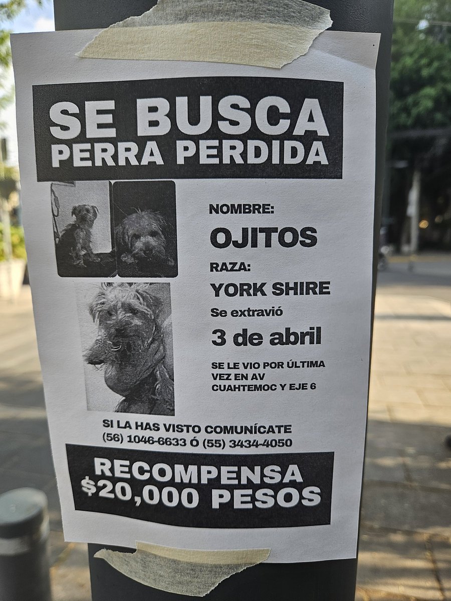 chocodonte's tweet photo. Amigos pls. Ayuda @En_laDelValle https://t.co/sX9KXCNqoX