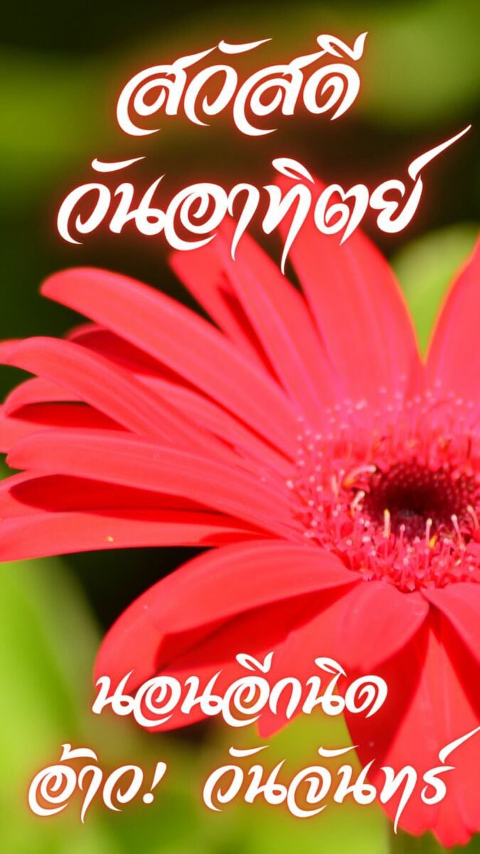 Tsuru (@vicetsuru_san) on Twitter photo 