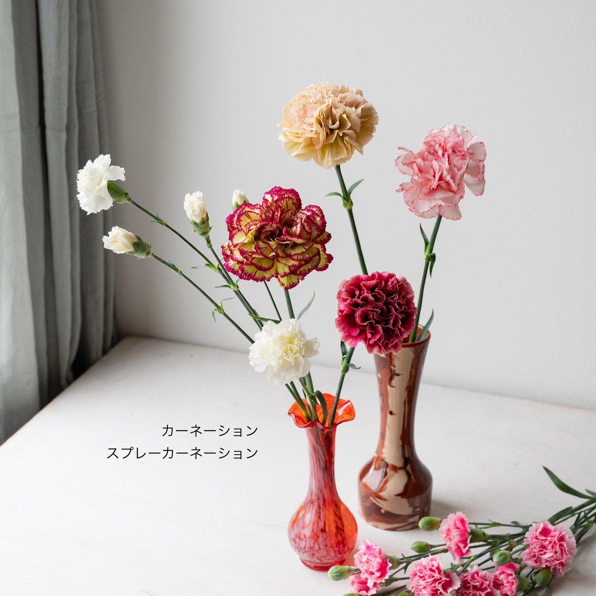 lifftflower's tweet photo. LIFFT定期便スタンダード4月号の発送開始してます💐4月号の主役は千葉県南房総市で健やかに育った鈴木浩仁さんより届いた「カーネーション」です✨
こだわりの栽培方法で育った鈴木さんのカーネーションはハリや艶があり目を惹かれます🌼お手元に届いたカーネーションをじっくり観察してみてください😊 https://t.co/97xAD95a1I