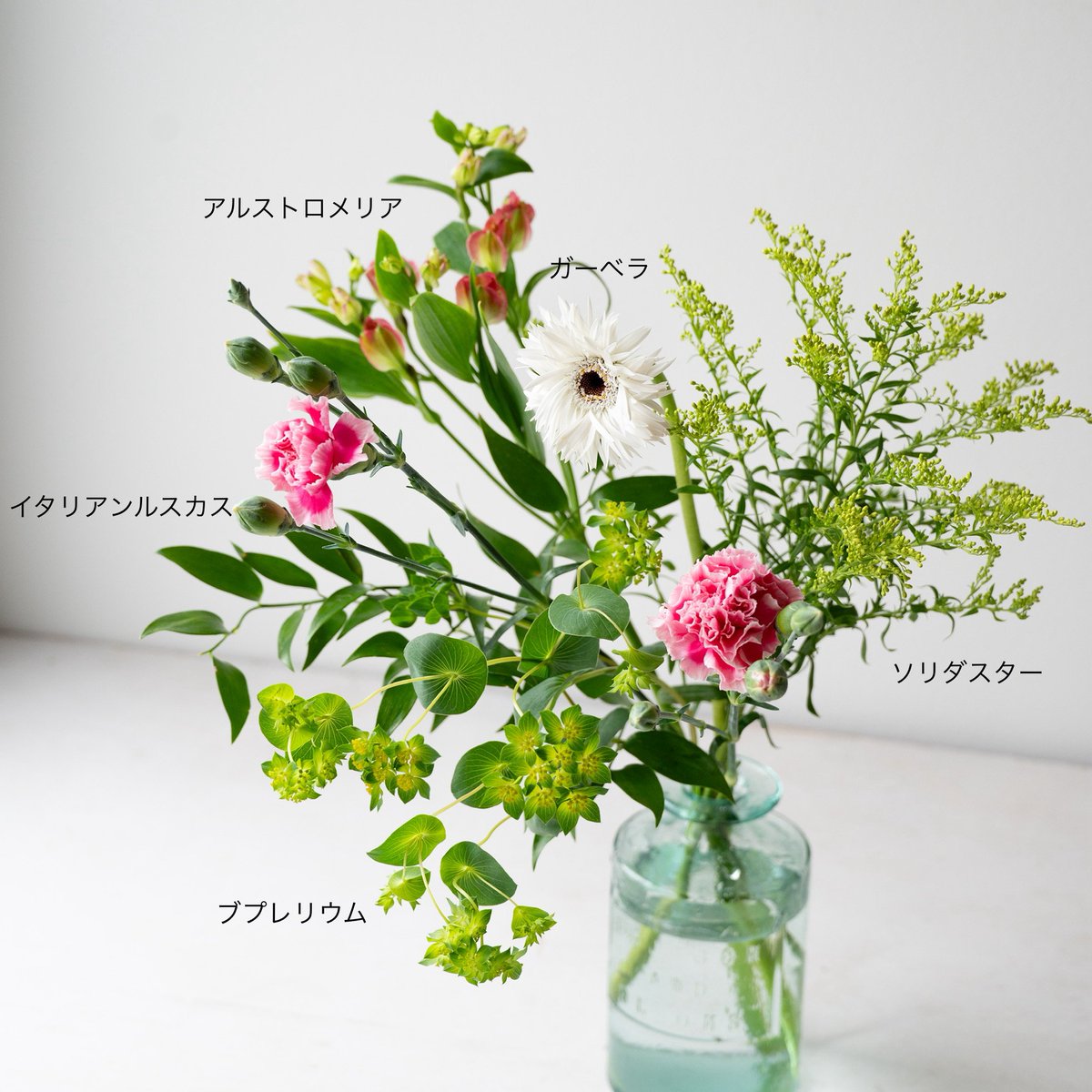 lifftflower's tweet photo. LIFFT定期便スタンダード4月号の発送開始してます💐4月号の主役は千葉県南房総市で健やかに育った鈴木浩仁さんより届いた「カーネーション」です✨
こだわりの栽培方法で育った鈴木さんのカーネーションはハリや艶があり目を惹かれます🌼お手元に届いたカーネーションをじっくり観察してみてください😊 https://t.co/97xAD95a1I