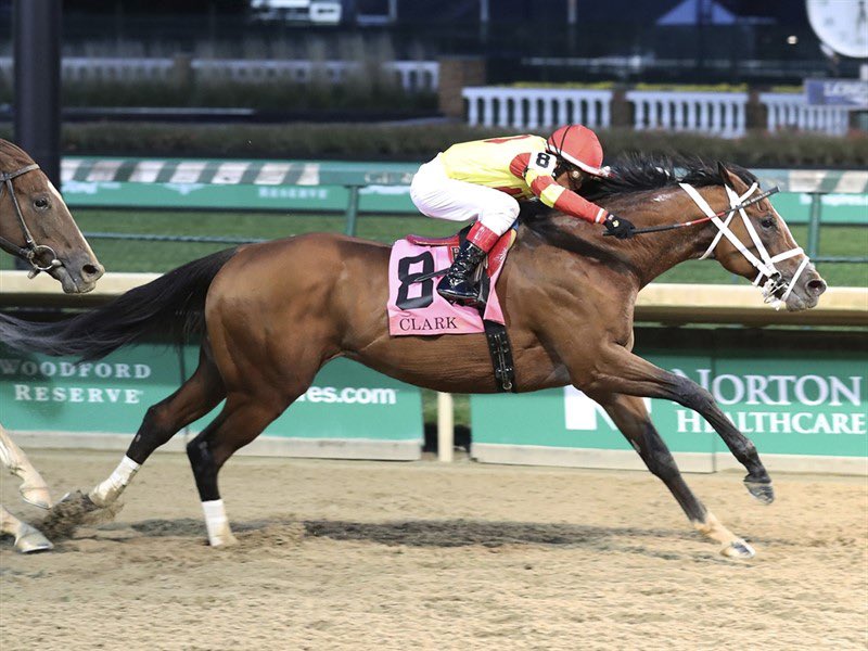 Gustavo Delgado <a href="/GDS_Racing/">Gustavo Delgado S</a> trainees:

•MAGE: G1 Kentucky Derby Winner, G1 Haskell &amp; G1 Florida Derby Runner Up G1 Preakness Placed. STALLION.

•CARACARO / G1 Travers Runner Up. TDN Rising Star. STALLION.

•BODEXPRESS / G1 Clark Winner, G1 Florida Derby Runner Up. STALLION.