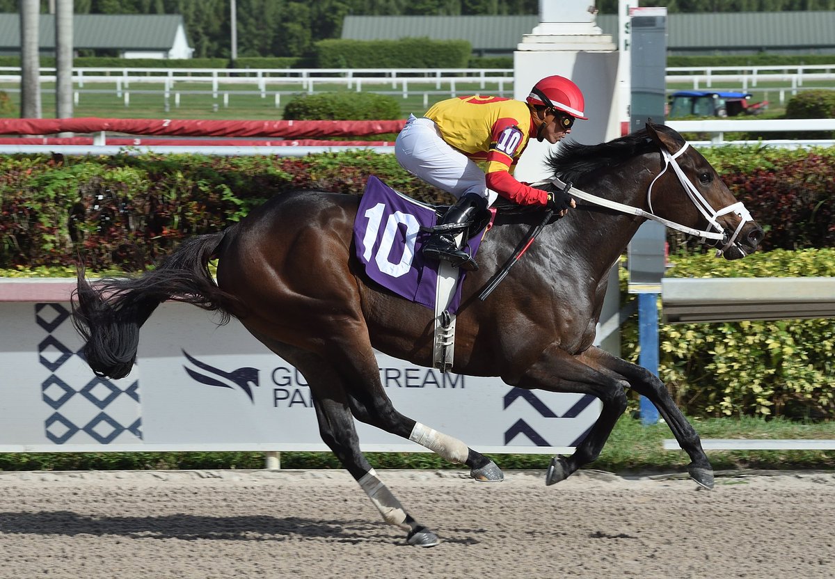 Ramiro A. Restrepo tweet media