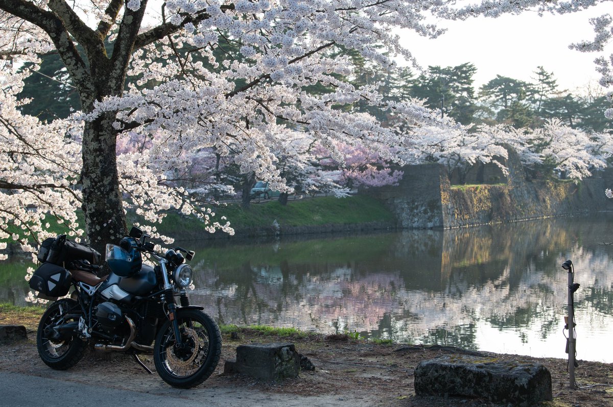 ほんとキレイなお堀だよ☺️
 #RnineT