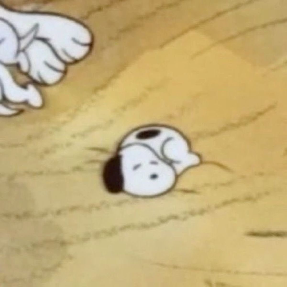 snoopyvinyls's tweet photo. snoopy has been eepy since day one https://t.co/Nkj9vcVLpT