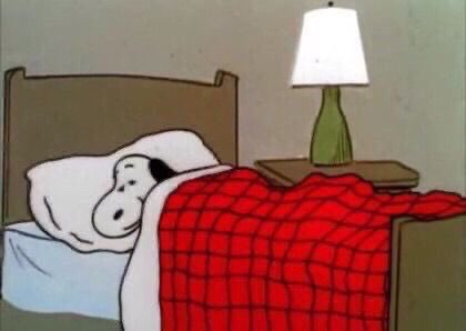 snoopyvinyls's tweet photo. snoopy has been eepy since day one https://t.co/Nkj9vcVLpT