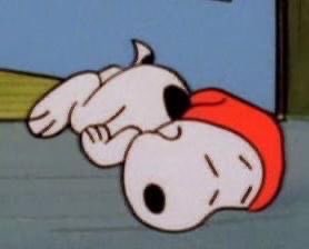 snoopyvinyls's tweet photo. snoopy has been eepy since day one https://t.co/Nkj9vcVLpT
