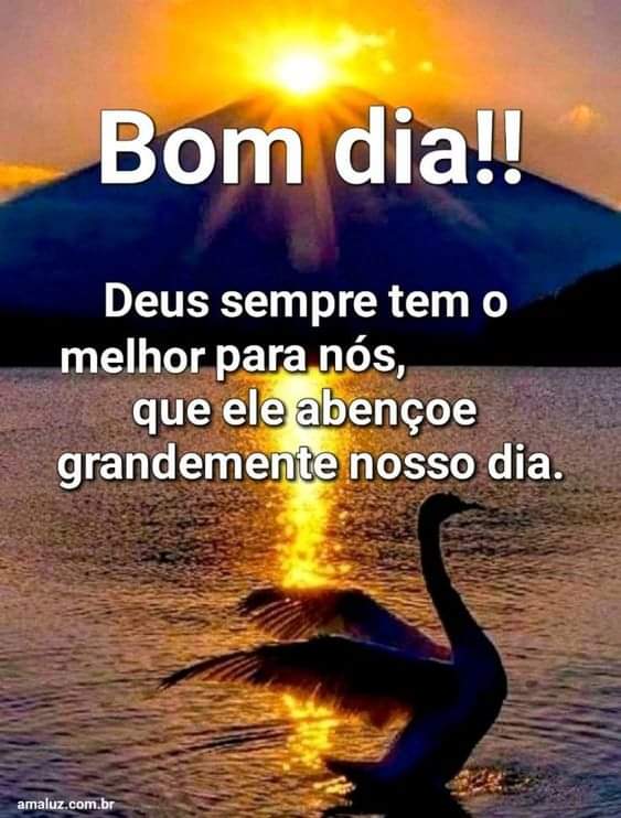 Bom dia boa noite