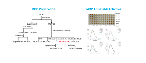 Breaking barriers: How modified #citrus #pectin inhibits galectin-8

pubs.rsc.org/en/content/art…

@_atanas_ @_INPST @ScienceCommuni2 @DHPSP @DrPalmquist @deNutrients @DrOrnaND @Integrativeonc @CancerEvolves @MSKCancerCenter @CancerCenter @AACR @NutraUSA @NutraEurope @NutraAsia @AzCIM