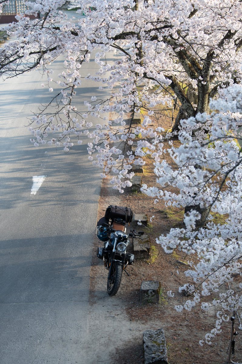 登って良い石垣から撮ってるんだからね😉
 #RnineT