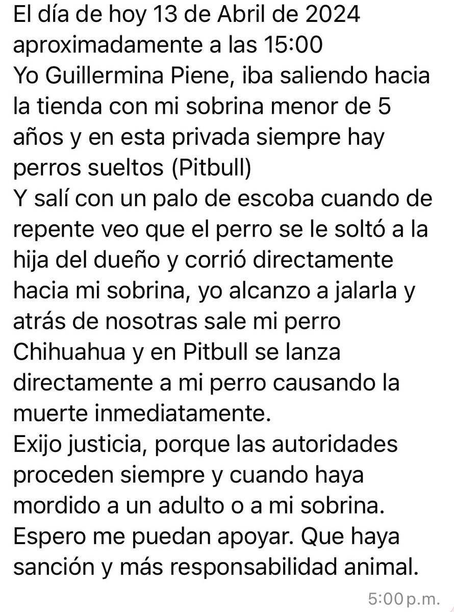 😔 Vecinos de la calle Miguel Hidalgo, en San Baltazar Campeche, #Puebla, piden apoyo de @AmbientePuebla Un perrito mató a Chiquis, un chihuahua que, intentó defender a su familia cuando al parecer el otro can quería atacar a una niña. Los dueños no se quieren hacer responsables