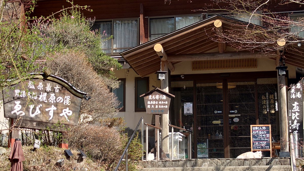 ebisuya_onsen tweet picture