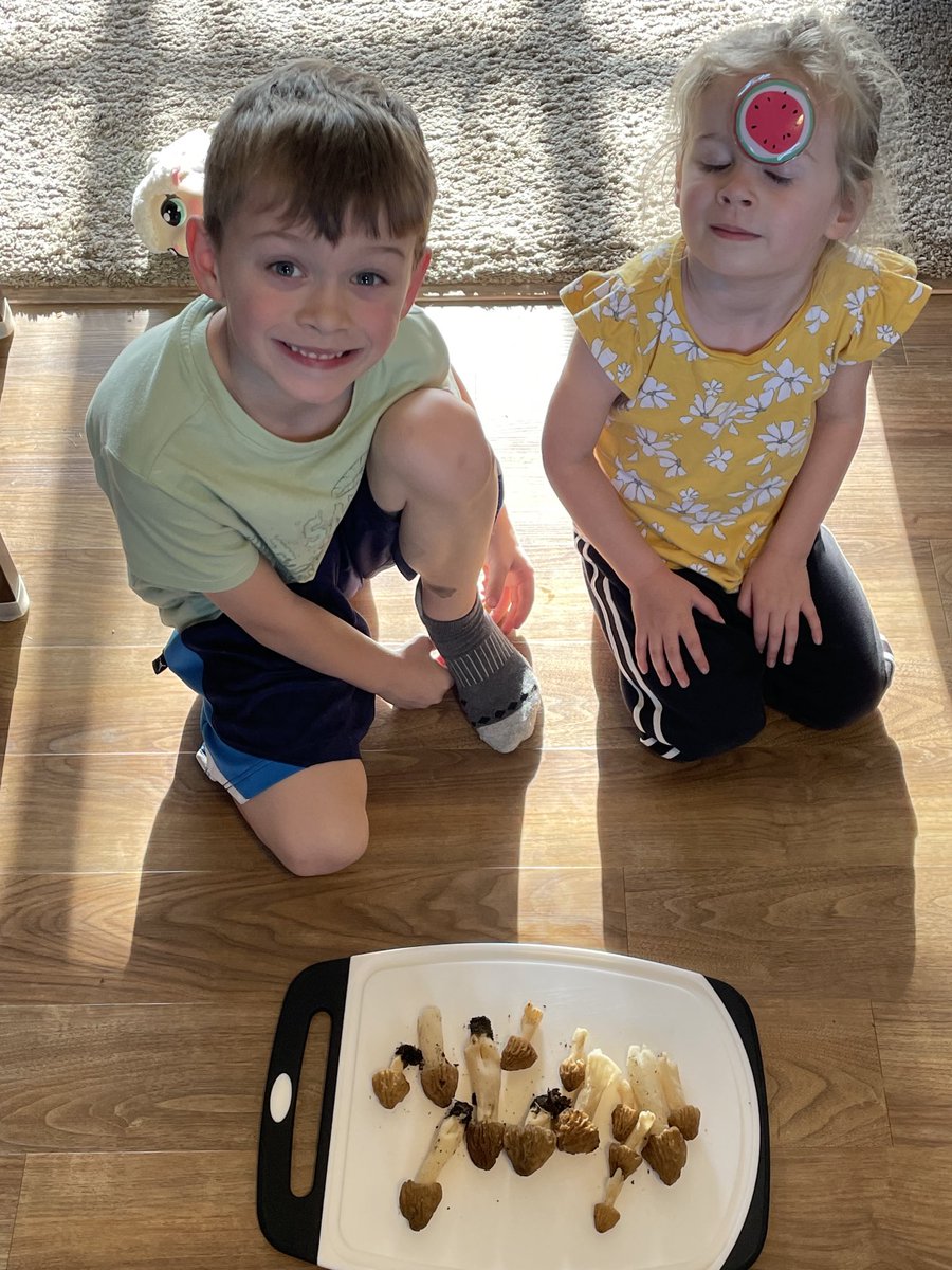 Good news: peckerheads and soil temps suggest Morel season is right around the corner. Bad news: the god of snakes, frogs and toads demanded that Fletch sacrifice his pants by falling in a vernal pool. #theyweredelicious