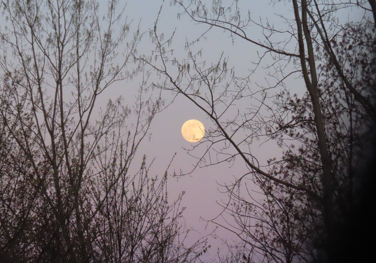 'Courage isn't having the strength to go on. It's going on when you don't have the strength.' ~ #WolfSpirit #thinkingoutloud #quickquotes #SaturdayMotivation #ThinkBIGSundayWithMarsha #Courage #Strength #GoingOn