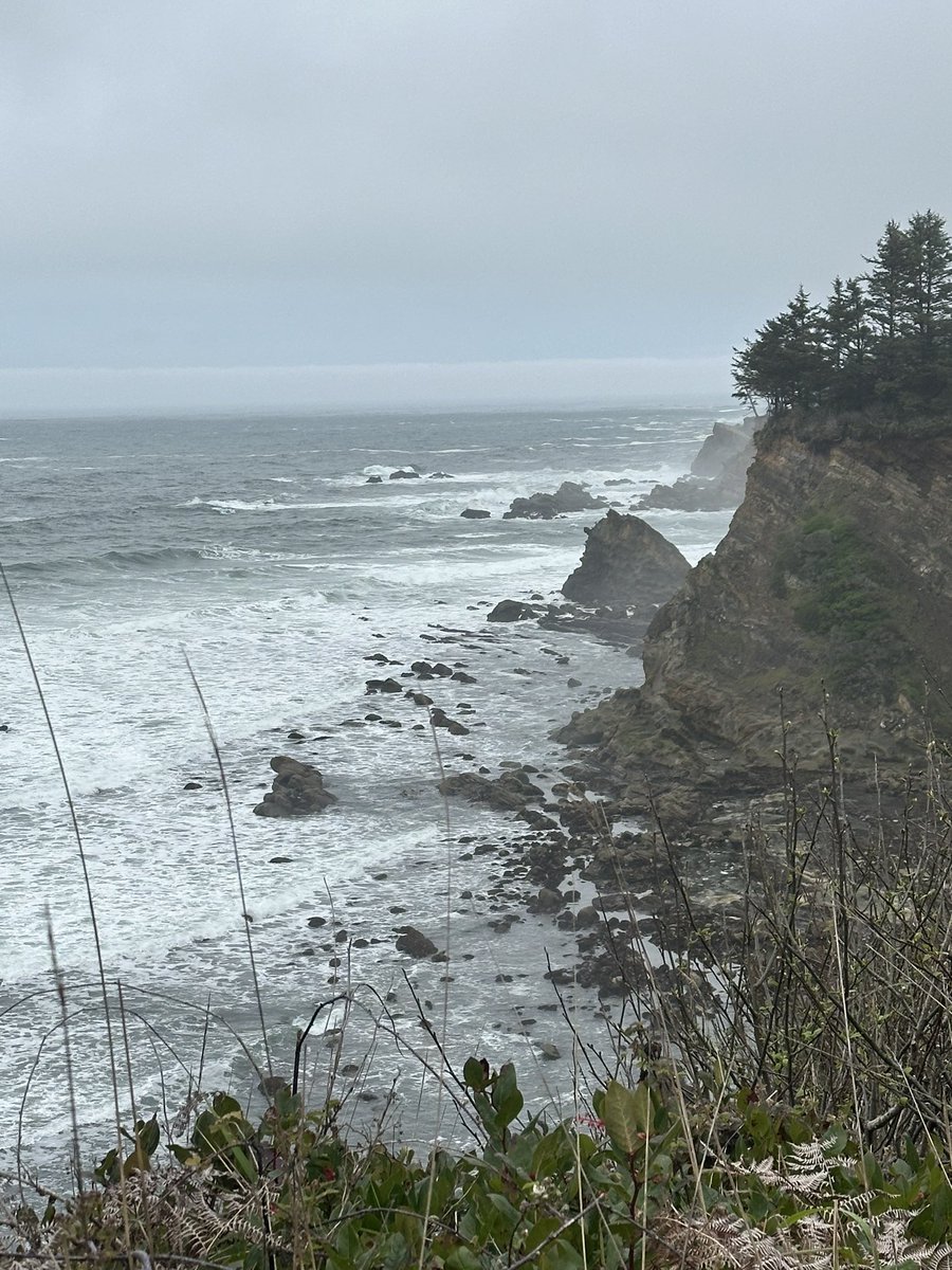 Oh, That? That’s just my side beach…

#BastendorfBeach #OregonCoast