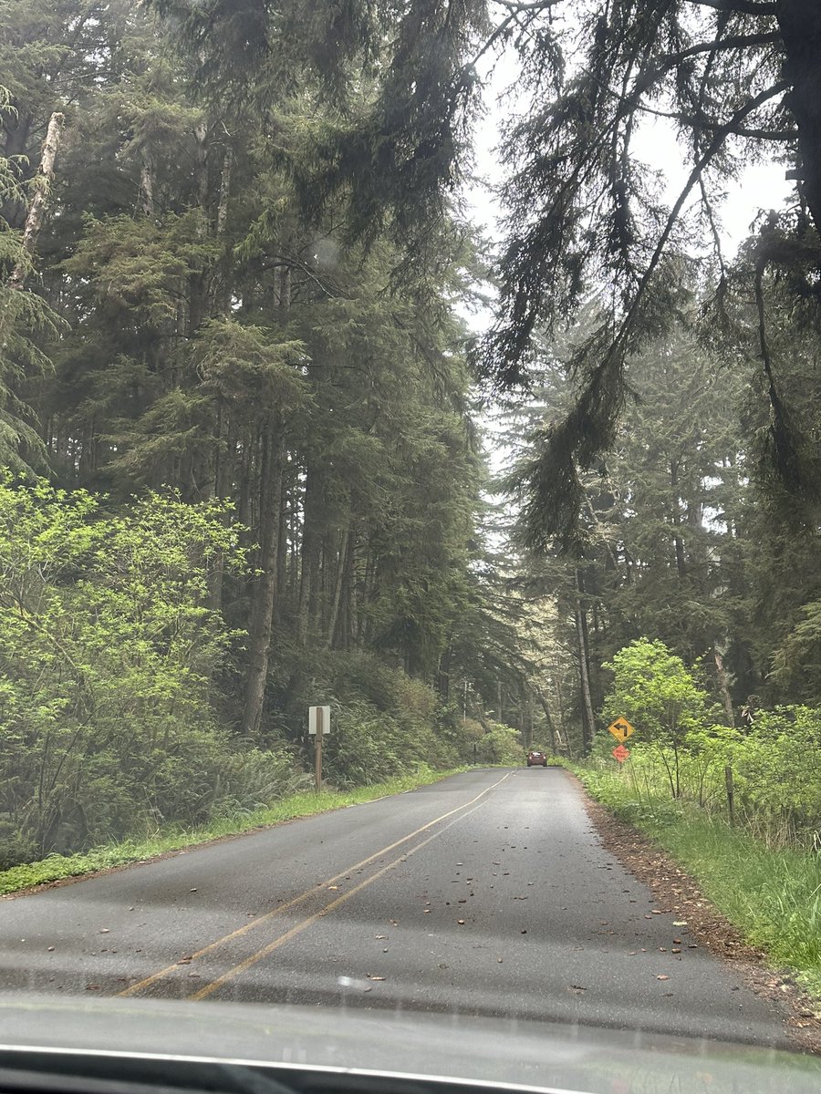Where I come from… so pretty here… 🦋
#OregonCoast