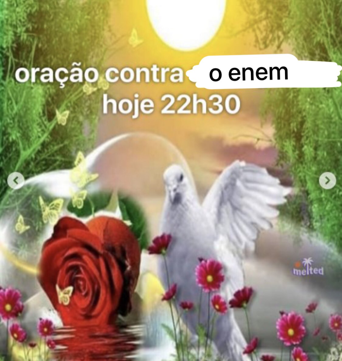 medicininha's tweet image. eu não aguento mais