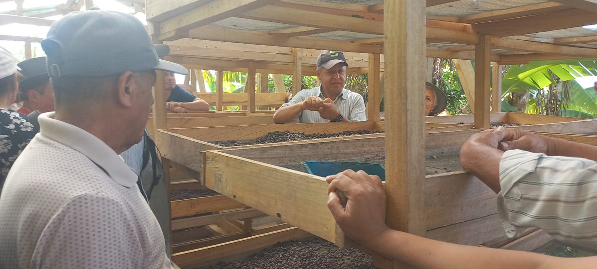 🌱¡Apoyamos la producción cafetalera! Con nuestro equipo técnico brindamos una [Inducción a la producción de cafés especiales] a productores de el sector #ElPrado en #Malacatos. #SabemosTrabajar
