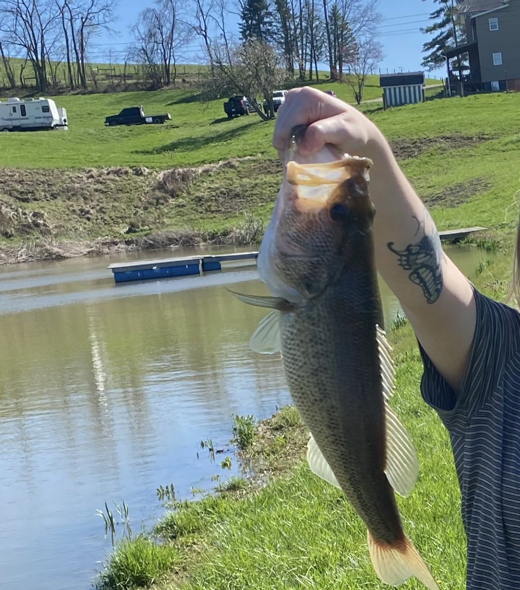 anemigma's tweet photo. just caught the world’s biggest fish https://t.co/7VlgoVBhe9
