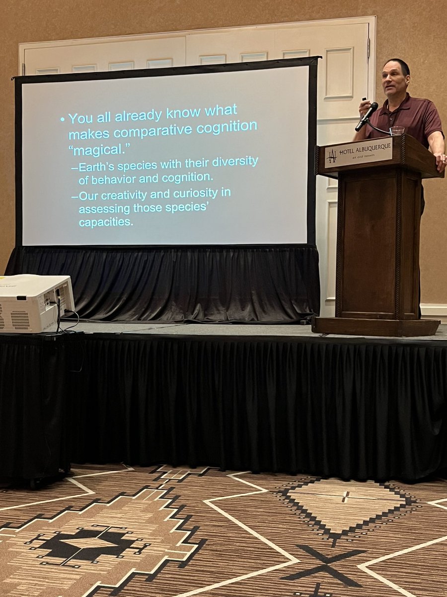 ComparativeCog's tweet photo. @PsychMikeB discusses how @nickyclayton22 work has shaped our understanding of #AnimalMinds. From #ProspectiveMemory, #Metacognition, &amp; #SelfControl across different species, her work has highlighted the rich diversity of cognitive abilities beyond #NonhumanPrimates #CO3_2024 https://t.co/oEQzbNLGNr