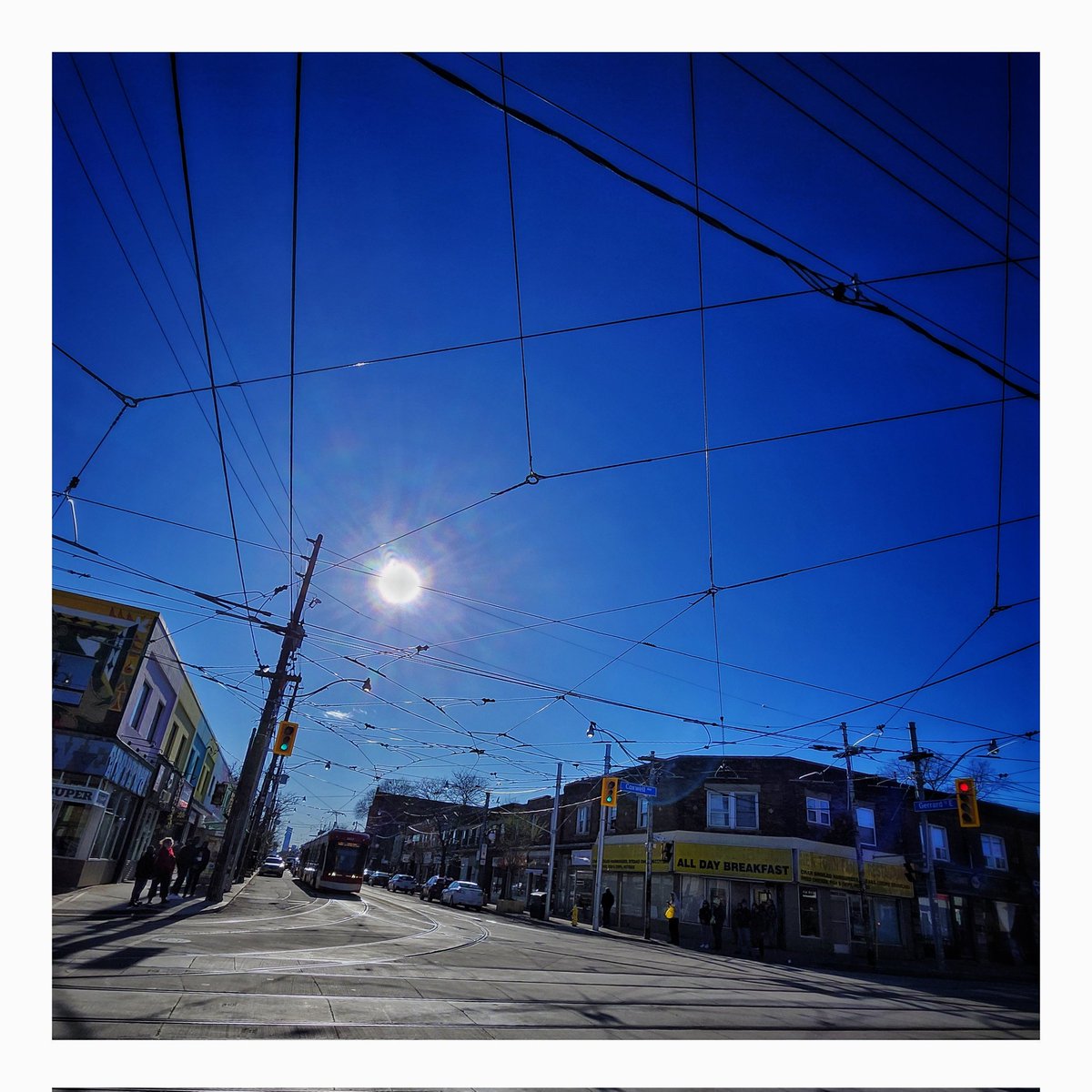Urban Spiderweb.  #TTC #Toronto #GerrardIndiaBazaar #CarltonStreetcar #GerrardStreetEast #Photography