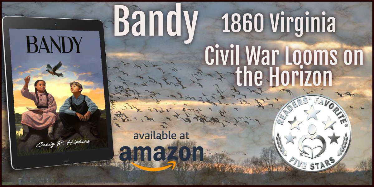 1860 Virginia -Young, orphaned- Isaac's only friend is a pigeon named, Bandy. Then he meets a dying slave girl named Joy. Isaac helps Joy escape, but they are pursued by an evil slave master bent on revenge. #YA #teenbooks hipkinstwins.com amazon.com/dp/B0CVBK41RK/