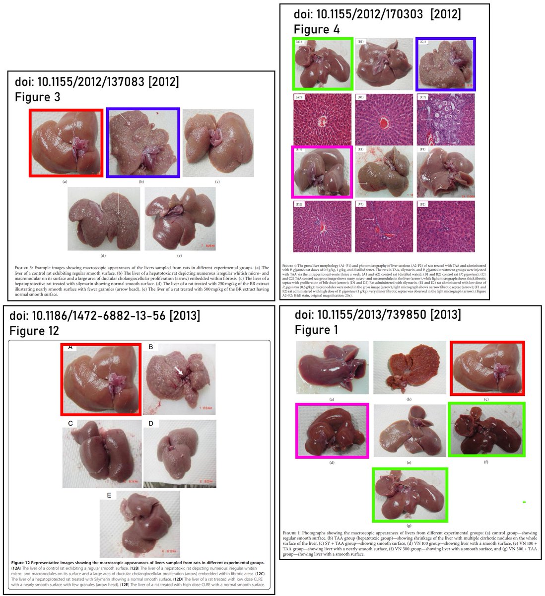 Recycled images of rat livers. @ImageTwinAI Is great for finding these. Some controls reused, but descriptions of methods are not the same. pubpeer.com/publications/9…