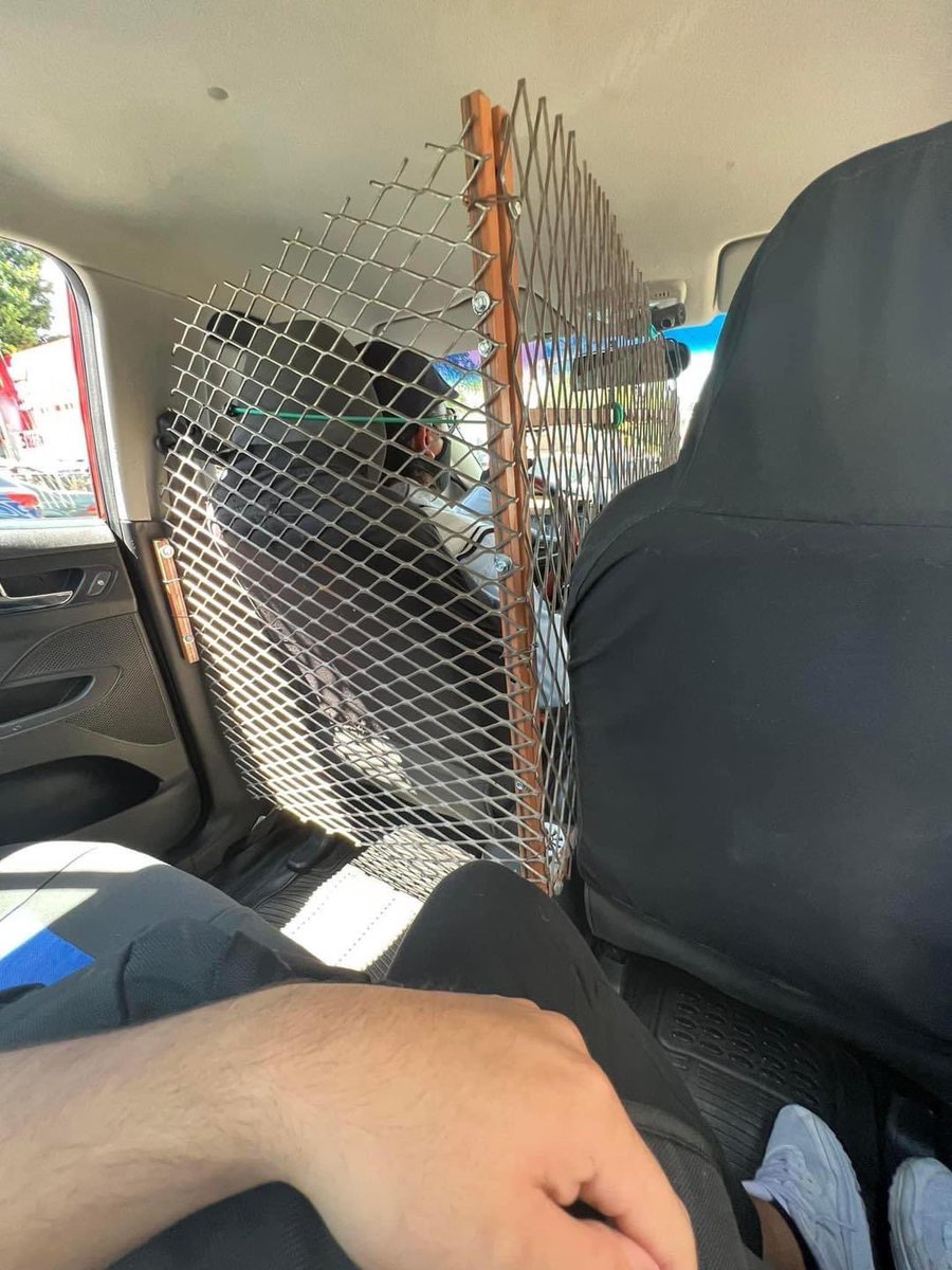ElJeringasLoko's tweet photo. Cálmese Don, si no es Gallo https://t.co/sqtr2KGIp3