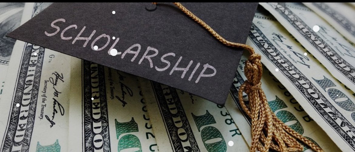 Nareen Clute tweet media