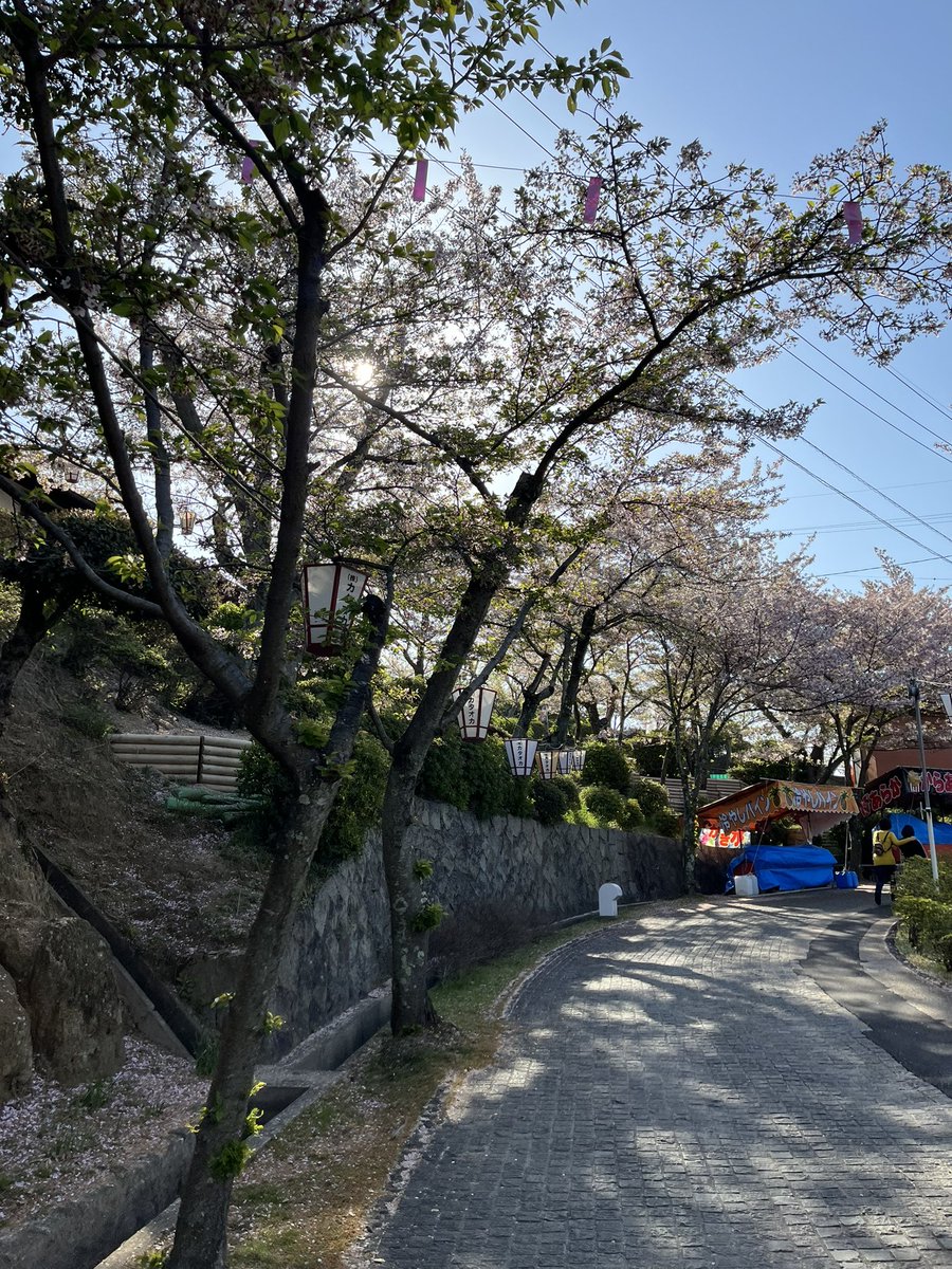 本日朝8時頃千光寺公園で撮影したものです📸 千光寺山ロープウェイ本日も混雑が予想されます。 最終便は山頂山麓共に17:15です🚠