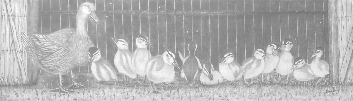 There’s Always ONE!
You might get all your ducks in a roll, BUT “There’s Always ONE!”
Drawing is 91/2 “ x 32”
So it’s long and narrow and I’m thinking of a yellow frame.
Such an odd size not sure if it will post .