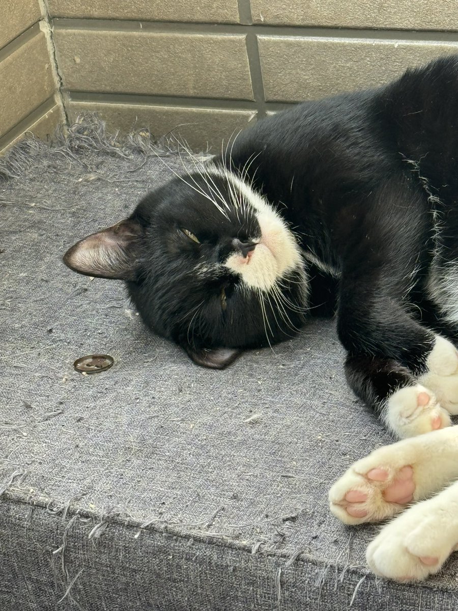 なんか、ごめん・・・