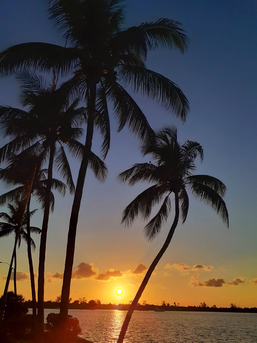 Beautiful sunset in gorgeous Jupiter, Florida. 🌅🧜‍♀️🧜‍♂️💙🏝🐚🌴💛✨️ @TownofJupiter @JupiterLink @VISITFLORIDA @born_saltwater @BeInspiredFL @FloridianCreat1 @TheFloridaCoast @AventuraRI @PalmBeachesFL @TheFloridaCoast #sunset #SaturdayVibes @auth