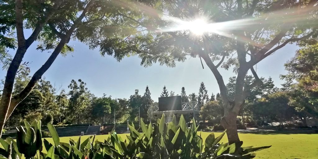 Vics_Echidna's tweet photo. #SpringfieldInStepwithNatureWalk🌄 every Monday 7.15am #RobelleDomain🦃 see @heartfoundation link ffi. Walk Yourself Fit 💪 connect with #Nature and other members in our @springfieldQLD community 🌳👥☕ https://t.co/pwcAb0mwTU @UQCCHW https://t.co/VkaqO61OCM